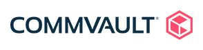 Technology partner