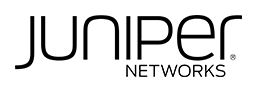 Technology partner