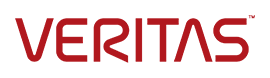 Technology partner
